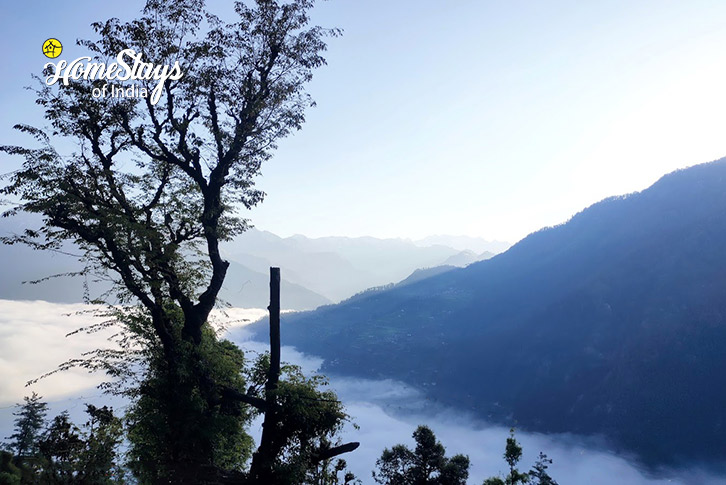 View-Solitude Song Tree House, Bahu-Banjar