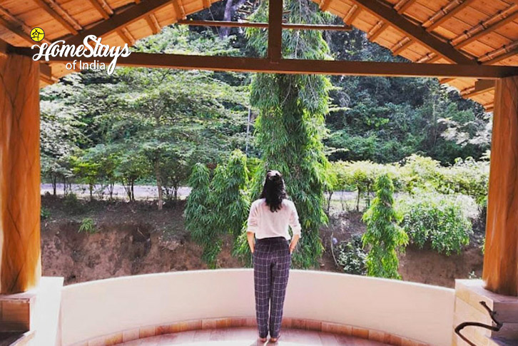 View-of-Balcony-Mystic Forest Homestay, Virajpet-Coorg