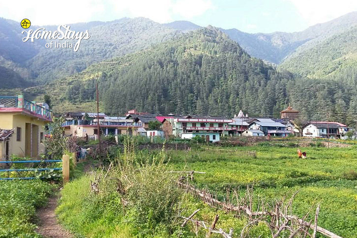 Village-View-Calm Woods Homestay, Devalsari