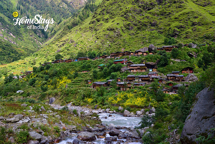 Village-View-Pristine Peaks Homestay-Sankri