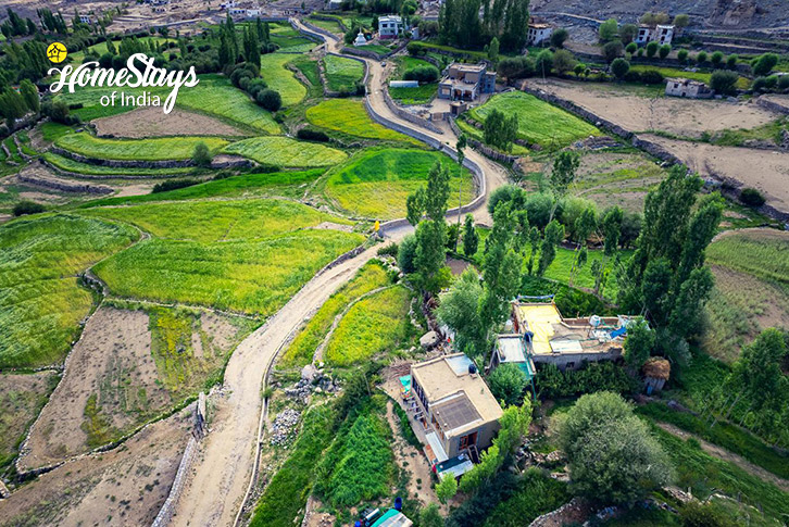 Village-Likir-Homestay-Ladakh