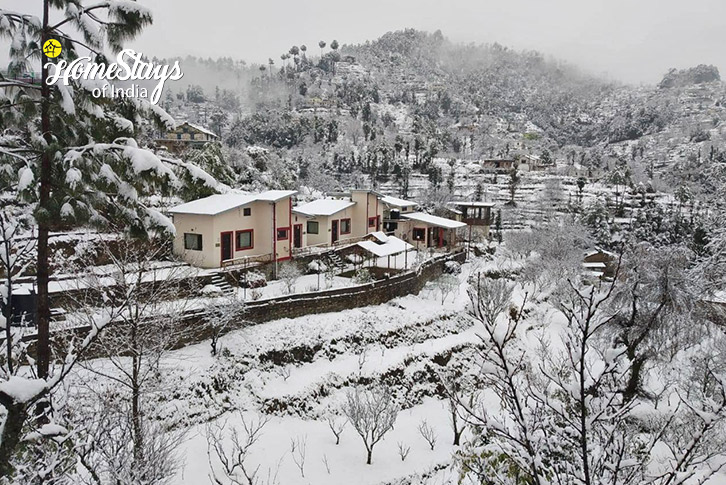 Winter-1-The Hidden Grove Homestay-Nathuakhan