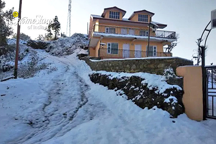 Winter-Valley of Dreams Homestay-Shimla