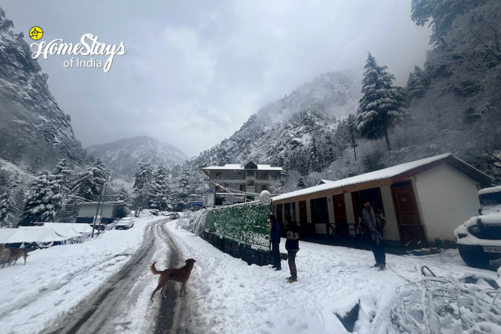 Winter-View-Peaks & Paws Homestay-Kasol