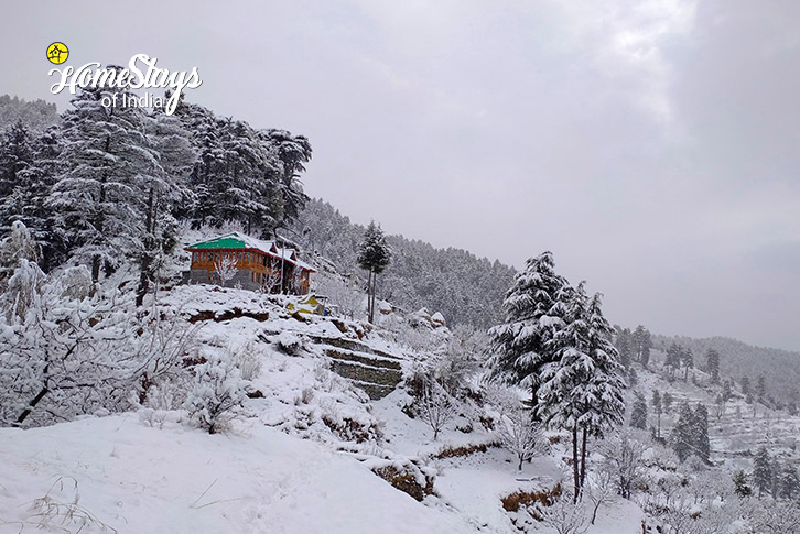 Winter View-Snow Mist Homestay-Aut