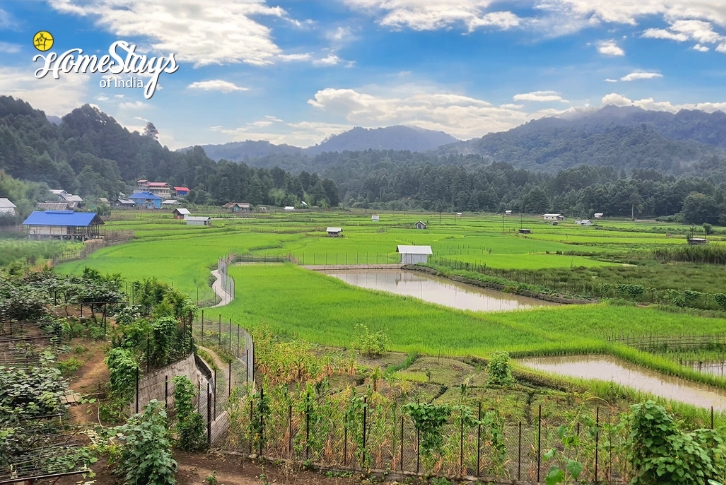 Surrounding-Symphony-Homestay-Ziro