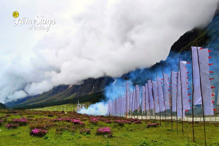 Lachung-Splendid Sikkim-Hoi