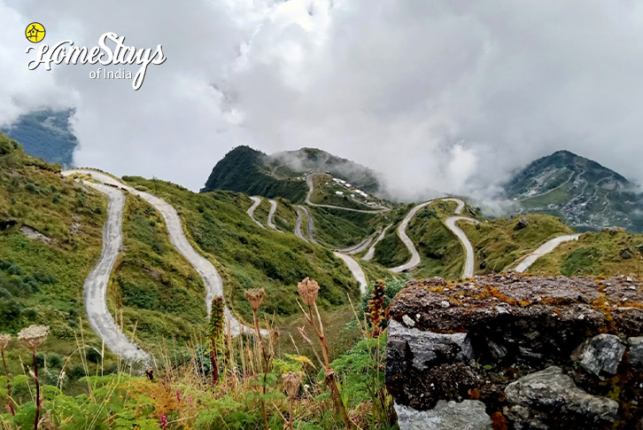 Zuluk-Splendid Sikkim-Hoi