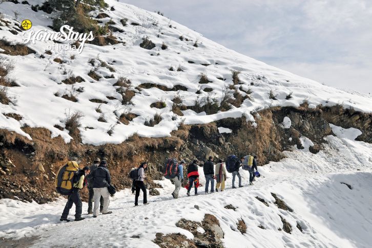 Snow Trek