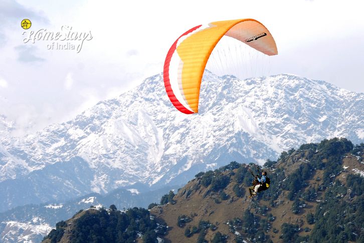 Paragliding at Bir-Billing