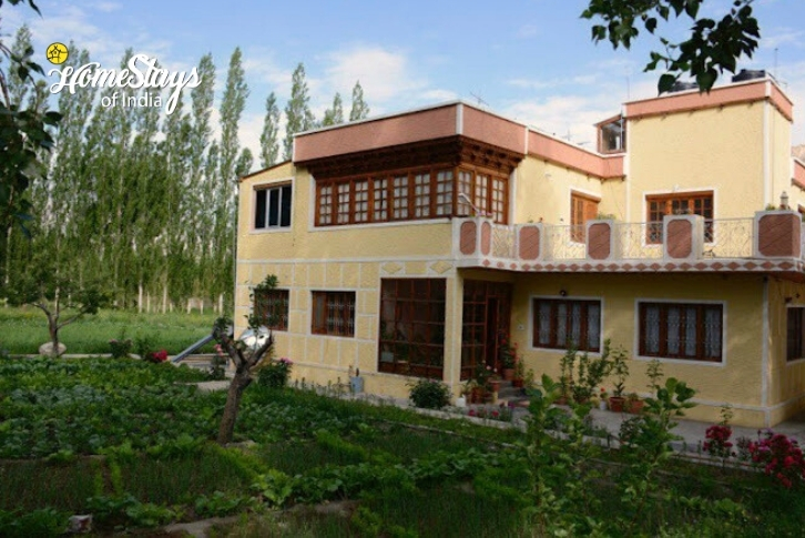 Exterior Golden Peak Homestay, Shey, Ladakh