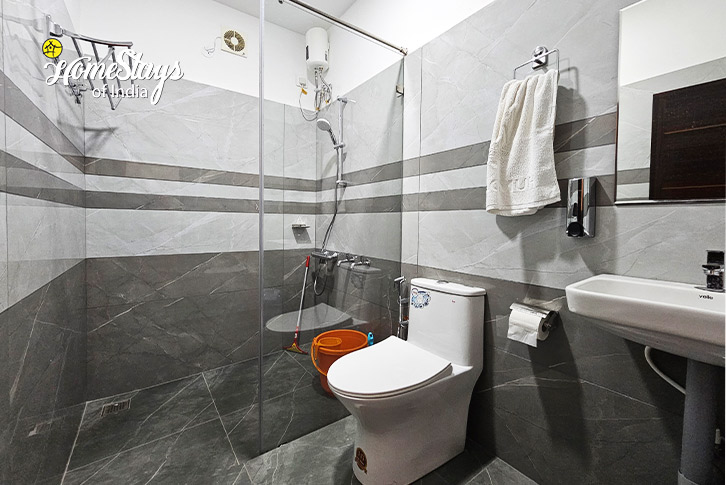 Bathroom-Eagle's View Homestay-Parunthumpara 